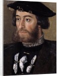 Portrait of Guillaume de Bellay, Lord of Langey by Anonymous