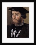 Portrait of Guillaume de Bellay, Lord of Langey by Anonymous
