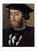 Portrait of Guillaume de Bellay, Lord of Langey by Anonymous