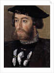 Portrait of Guillaume de Bellay, Lord of Langey by Anonymous