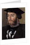 Portrait of Guillaume de Bellay, Lord of Langey by Anonymous