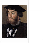 Portrait of Guillaume de Bellay, Lord of Langey by Anonymous