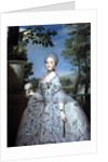 Portrait of Marie Louise of Parma, Princess of Asturias by Anton Raphael Mengs