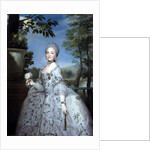 Portrait of Marie Louise of Parma, Princess of Asturias by Anton Raphael Mengs