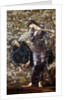 The Beguiling of Merlin by Edward Burne Jones