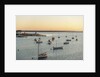 The Harbor by Anonymous