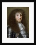 Portrait of Louis XIV, King of France by Robert Nanteuil