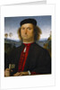 Portrait of Francesco delle Opere by Perugino
