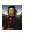 Portrait of Francesco delle Opere by Perugino
