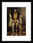 Portrait of Emperor Charles V with His Dog by Jakob Seisenegger