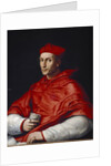 Portrait of Cardinal Bibbiena by Raphael