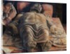 The Dead Christ by Andrea Mantegna