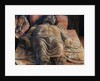 The Dead Christ by Andrea Mantegna