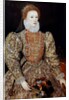 Portrait of the Queen Elizabeth I by Anonymous