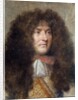 Portrait of Louis XIV, by Charles le Brun