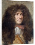 Portrait of Louis XIV, by Charles le Brun