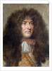 Portrait of Louis XIV, by Charles le Brun