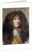 Portrait of Louis XIV, by Charles le Brun