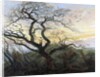 The Tree of Crows by Caspar David Friedrich