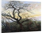 The Tree of Crows by Caspar David Friedrich