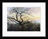 The Tree of Crows by Caspar David Friedrich