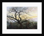The Tree of Crows by Caspar David Friedrich