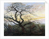 The Tree of Crows by Caspar David Friedrich