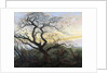 The Tree of Crows by Caspar David Friedrich