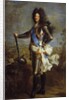 Portrait of Louis XIV of France, by Hyacinthe Rigaud