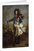 Portrait of Louis XIV of France, by Hyacinthe Rigaud