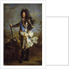 Portrait of Louis XIV of France, by Hyacinthe Rigaud