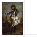 Portrait of Louis XIV of France, by Hyacinthe Rigaud