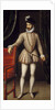 Portrait of Charles IX by Francois Clouet