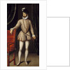 Portrait of Charles IX by Francois Clouet