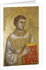 St. Stephen by Giotto