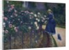 Roses in the Garden at Petit Gennevilliers by Gustave Caillebotte