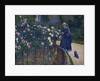Roses in the Garden at Petit Gennevilliers by Gustave Caillebotte