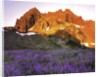 Three Fingered Jack Mountain by Anonymous