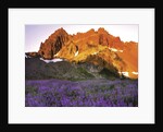 Three Fingered Jack Mountain by Anonymous
