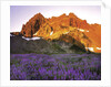 Three Fingered Jack Mountain by Anonymous