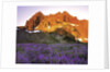 Three Fingered Jack Mountain by Anonymous