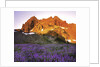 Three Fingered Jack Mountain by Anonymous