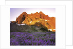 Three Fingered Jack Mountain by Anonymous