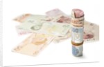 Turkish Currency by Anonymous