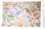 Turkish Currency by Anonymous