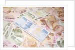 Turkish Currency by Anonymous