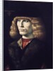 Rich young man wearing a fur by Giovanni Ambrogio de Predis