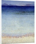 The gold islands, Hyeres Islands by Henri Edmond Cross