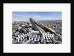 Whalers' Graves, Deadman Island, Nunavut, Canada by Anonymous