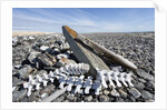 Whalers' Graves, Deadman Island, Nunavut, Canada by Anonymous